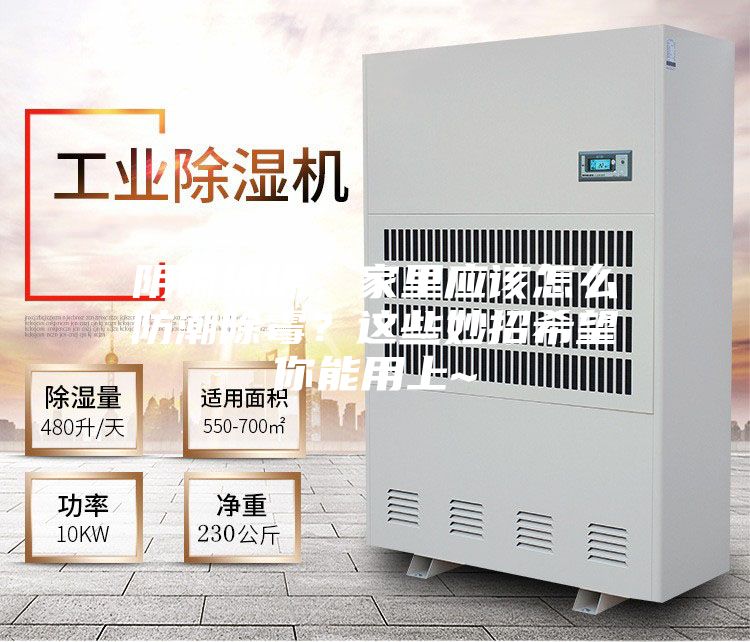 陰雨綿綿，家里應該怎么防潮除霉？這些妙招希望你能用上~