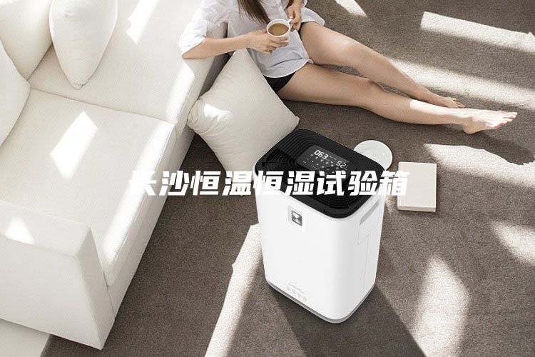 長沙恒溫恒濕試驗箱