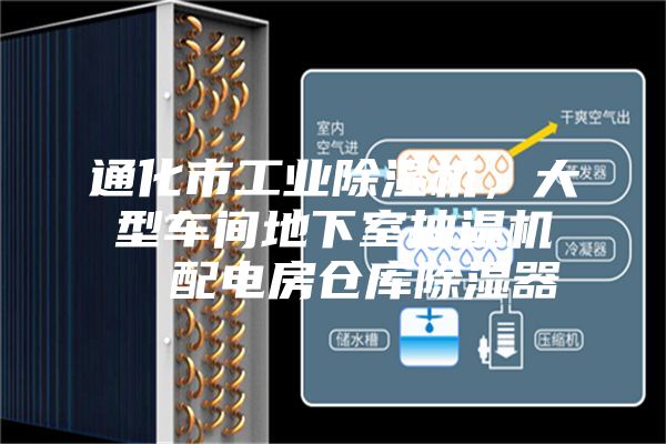通化市工業除濕機，大型車間地下室抽濕機  配電房倉庫除濕器