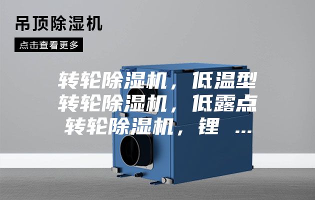 轉輪除濕機，低溫型轉輪除濕機，低露點轉輪除濕機，鋰 ...