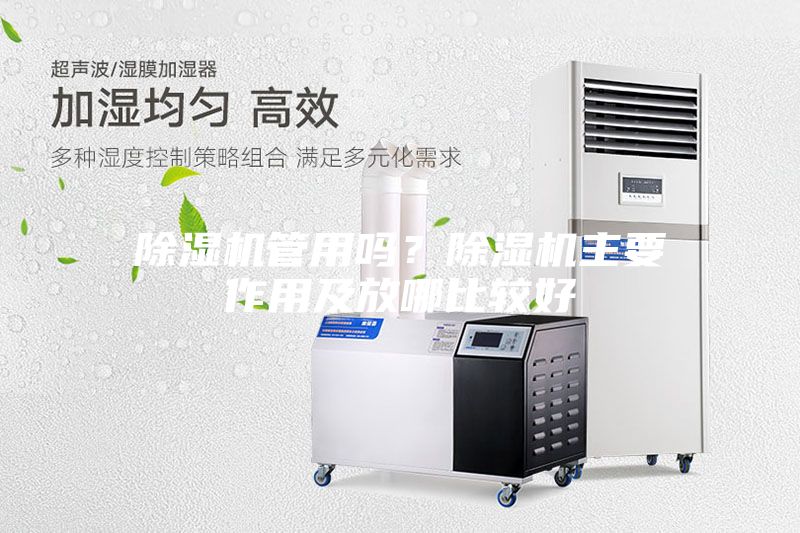 除濕機管用嗎？除濕機主要作用及放哪比較好