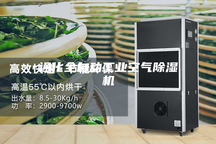 通化全自動工業空氣除濕機