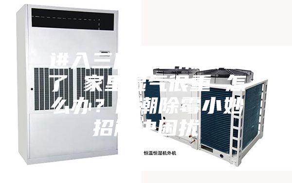 進入三月“春潮”來了 家里濕氣很重 怎么辦？防潮除霉小妙招解決困擾