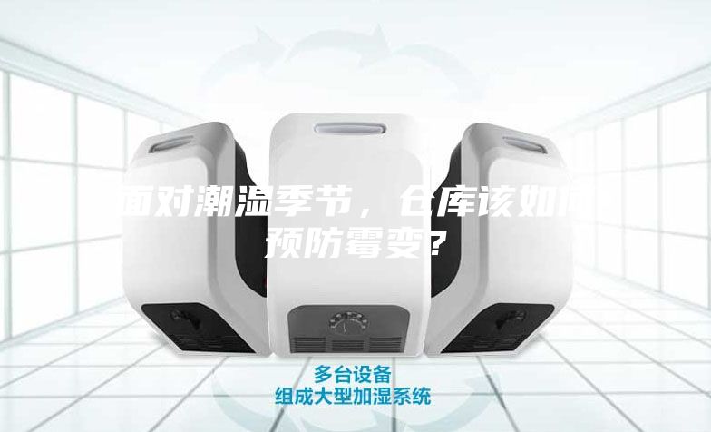 面對潮濕季節，倉庫該如何預防霉變？