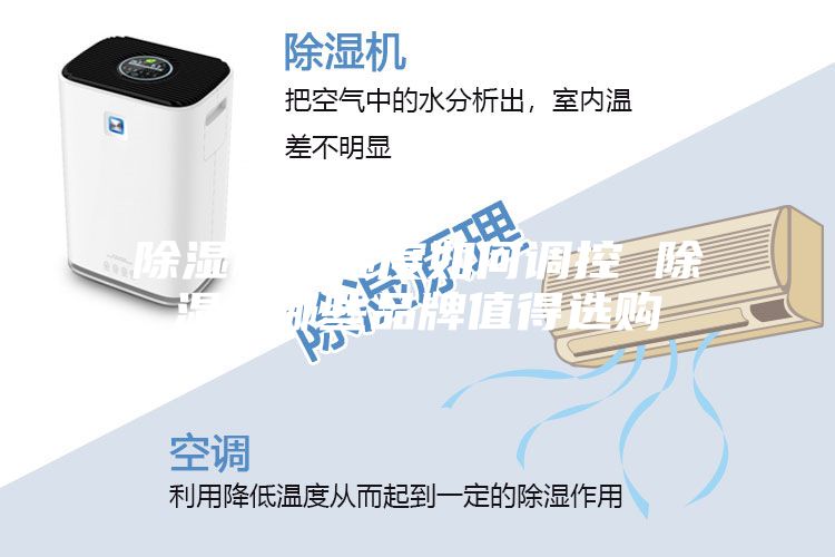 除濕機的濕度如何調控 除濕機哪些品牌值得選購