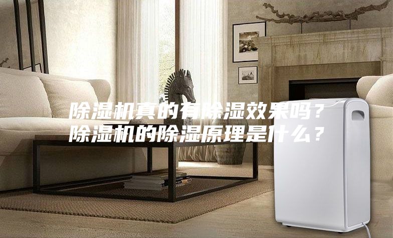 除濕機真的有除濕效果嗎？除濕機的除濕原理是什么？