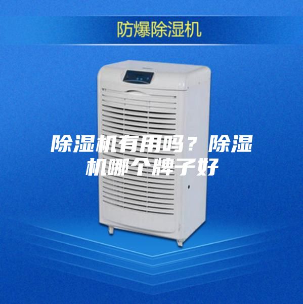 除濕機有用嗎？除濕機哪個牌子好