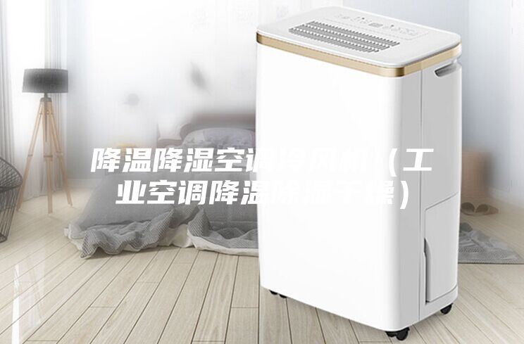 降溫降濕空調冷風機（工業空調降溫除濕干燥）