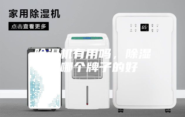除濕機有用嗎，除濕機哪個牌子的好