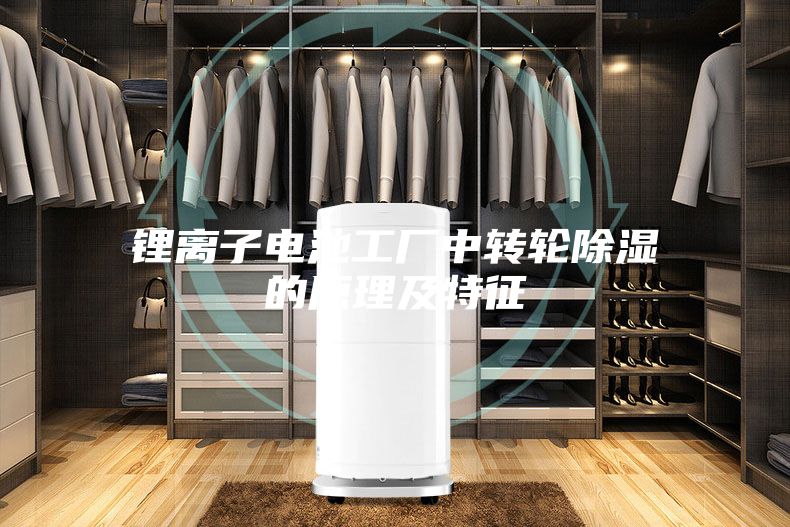 鋰離子電池工廠中轉輪除濕的原理及特征