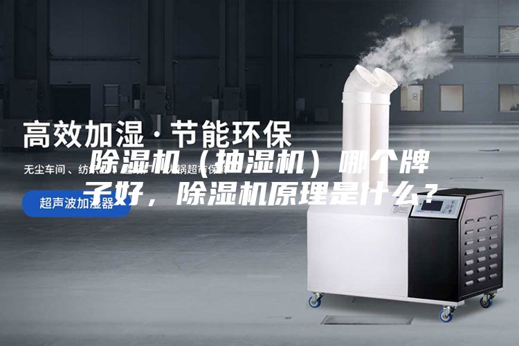 除濕機（抽濕機）哪個牌子好，除濕機原理是什么？