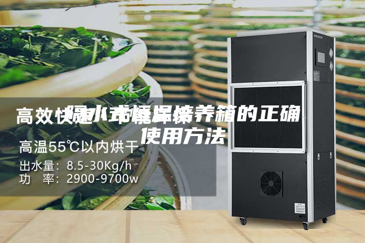 隔水式恒溫培養箱的正確使用方法