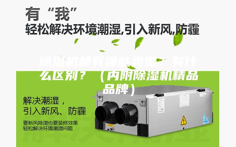 除濕機都有哪些類型？有什么區別？（內附除濕機精品品牌）