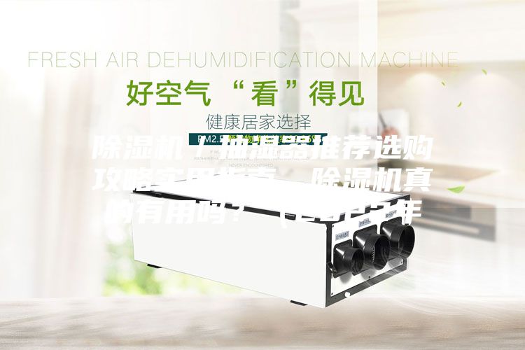 除濕機／抽濕器推薦選購攻略實用指南，除濕機真的有用嗎？（2022年