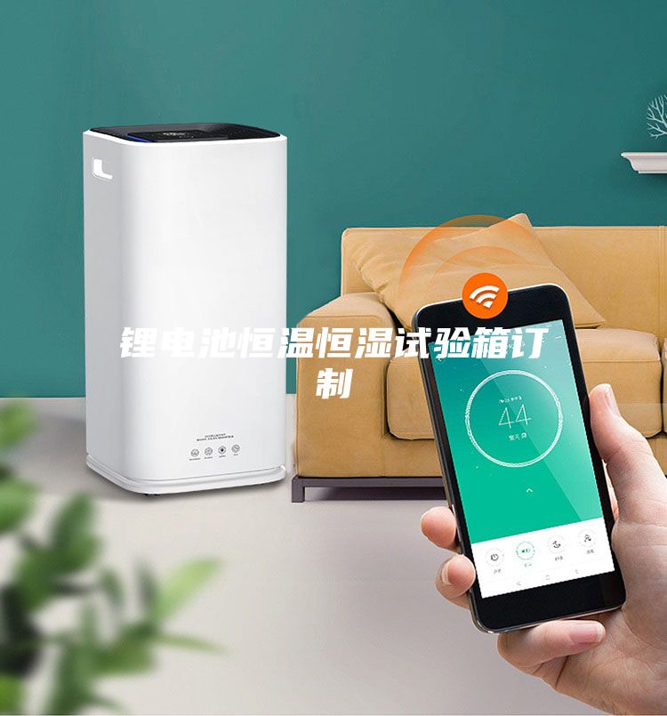 鋰電池恒溫恒濕試驗箱訂制