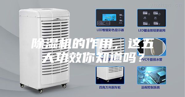 除濕機的作用，這五大功效你知道嗎？