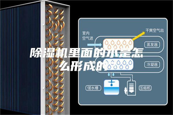 除濕機里面的水是怎么形成的？
