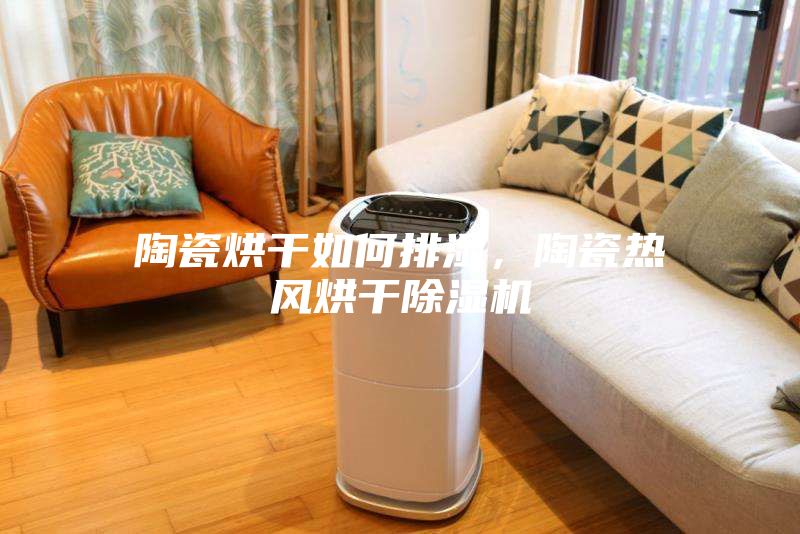 陶瓷烘干如何排濕，陶瓷熱風烘干除濕機