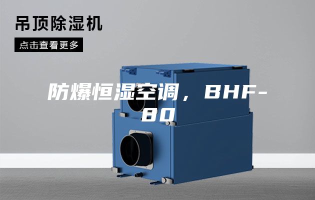 防爆恒濕空調，BHF-80