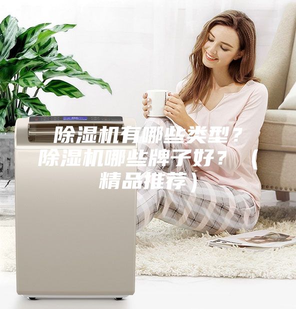 除濕機有哪些類型？除濕機哪些牌子好？（精品推薦）