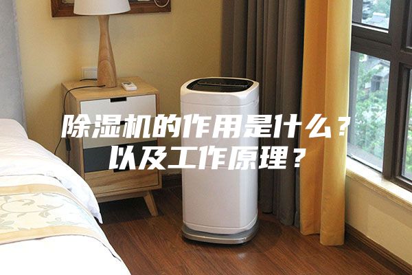 除濕機的作用是什么？以及工作原理？