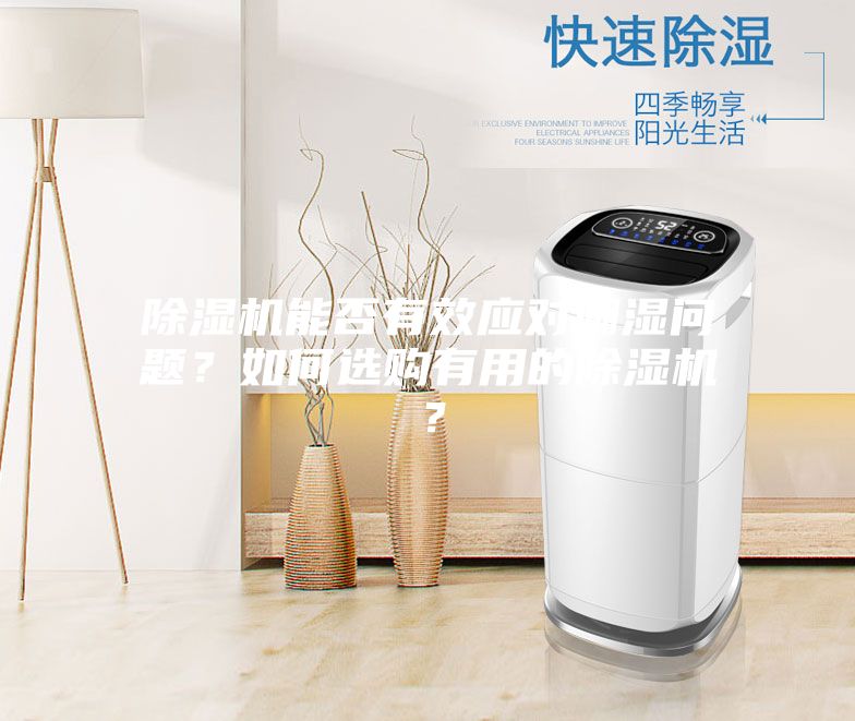 除濕機能否有效應對潮濕問題？如何選購有用的除濕機？