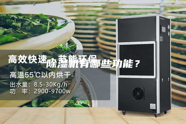 除濕機有哪些功能？