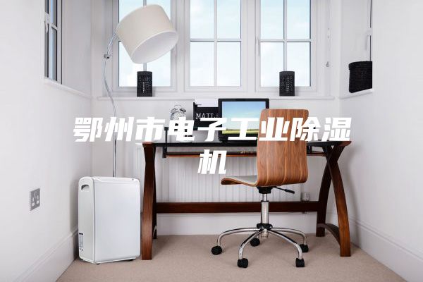 鄂州市電子工業除濕機