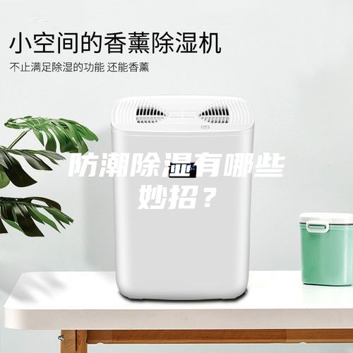 防潮除濕有哪些妙招？