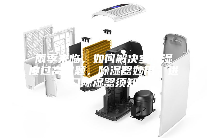 雨季來臨，如何解決室內濕度過高問題，除濕器妙用，進口除濕器須知