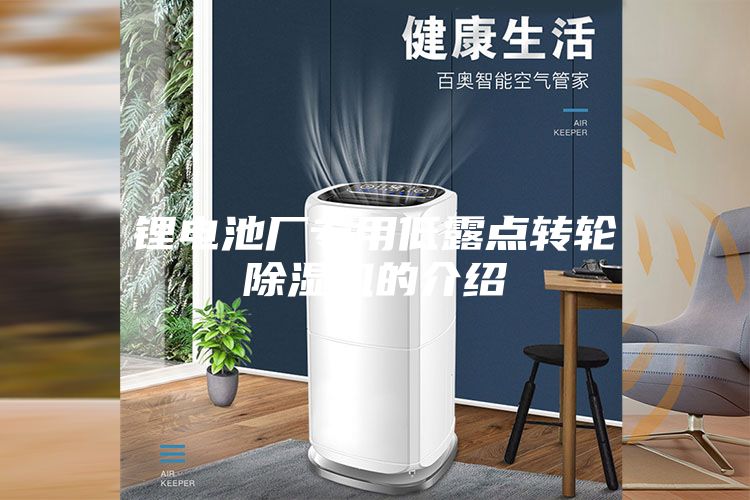 鋰電池廠專用低露點轉輪除濕機的介紹