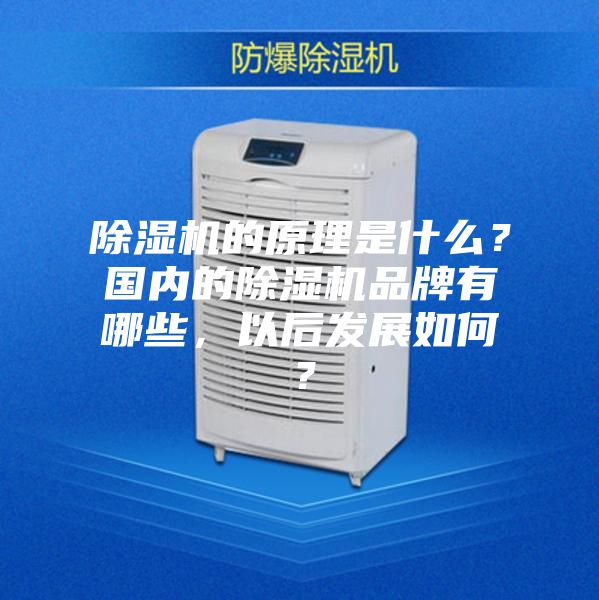 除濕機的原理是什么？國內的除濕機品牌有哪些，以后發展如何？