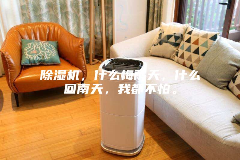 除濕機，什么梅雨天，什么回南天，我都不怕。