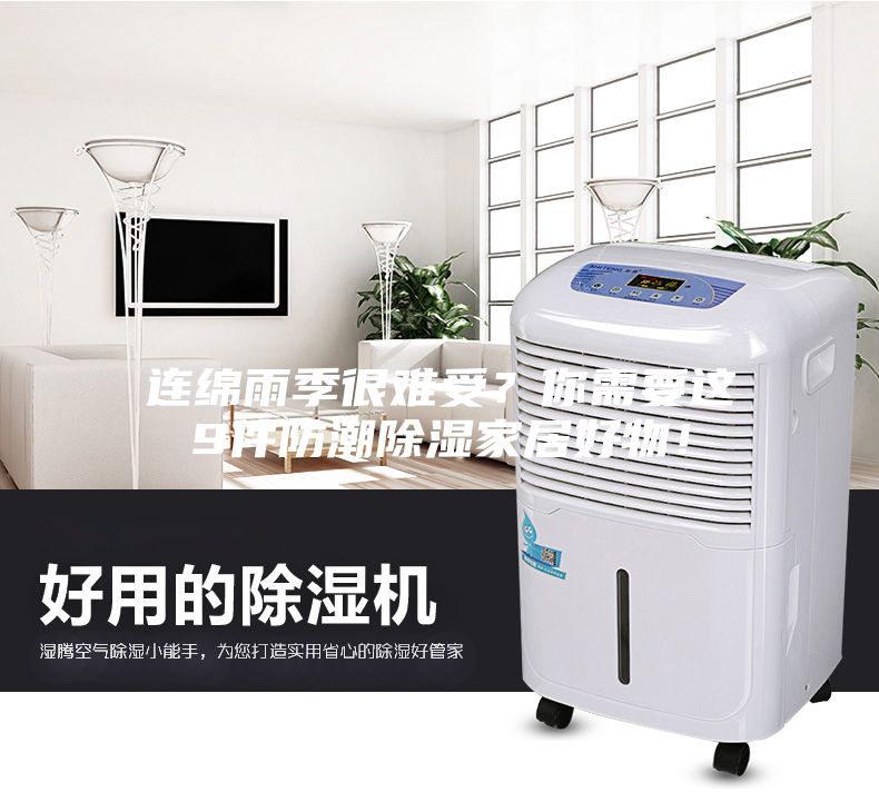 連綿雨季很難受？你需要這9件防潮除濕家居好物！
