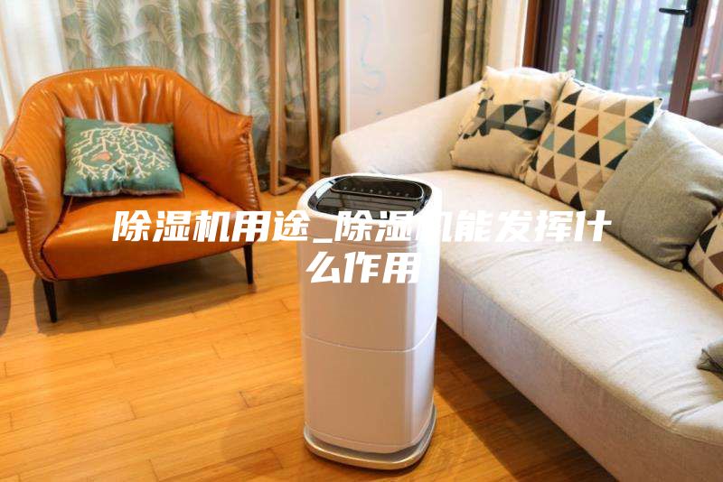 除濕機用途_除濕機能發揮什么作用
