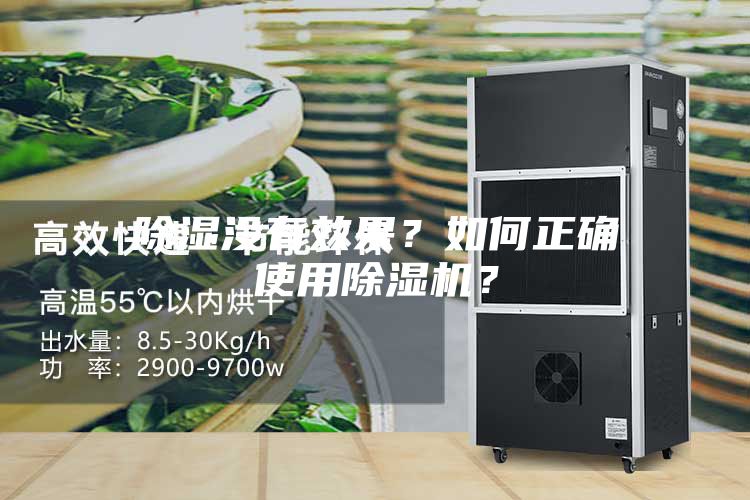 除濕沒有效果？如何正確使用除濕機？