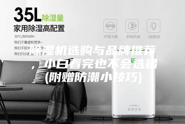 除濕機選購與品牌推薦，小白看完也不會選錯(附贈防潮小技巧)