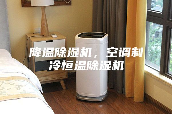 降溫除濕機，空調制冷恒溫除濕機