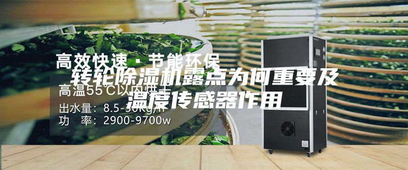 轉輪除濕機露點為何重要及溫度傳感器作用