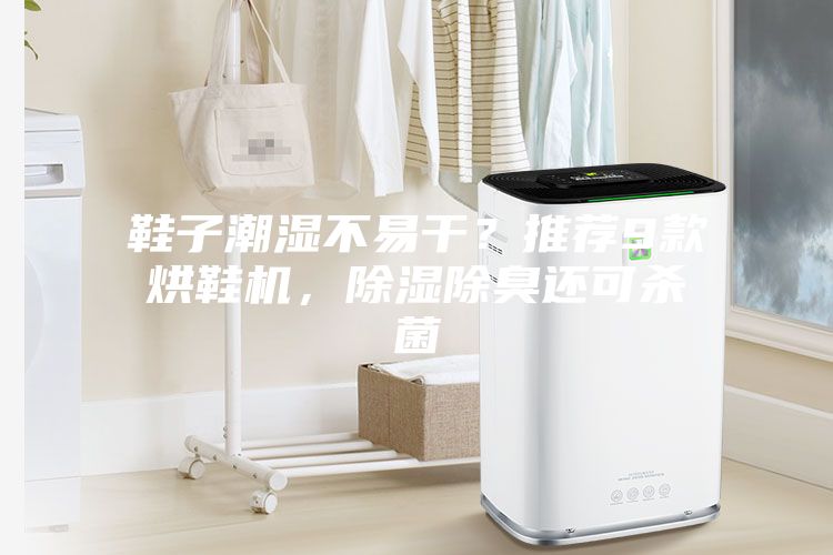 鞋子潮濕不易干？推薦9款烘鞋機，除濕除臭還可殺菌