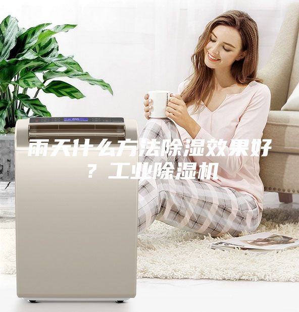 雨天什么方法除濕效果好？工業除濕機