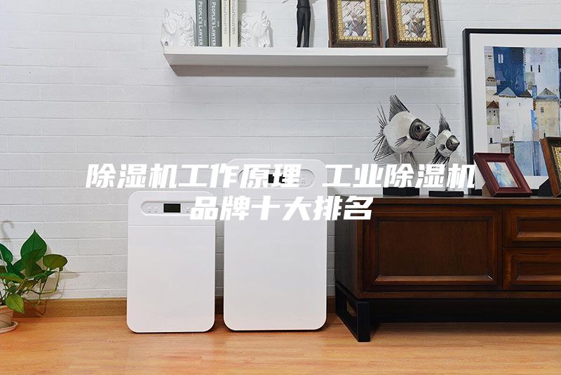 除濕機工作原理 工業除濕機品牌十大排名