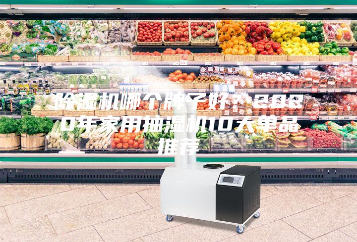除濕機哪個牌子好？2020年家用抽濕機10大單品推薦