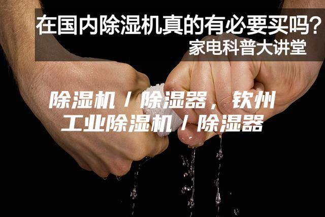 除濕機／除濕器，欽州工業除濕機／除濕器