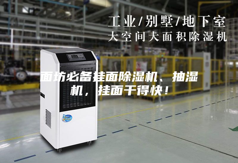 面坊必備掛面除濕機、抽濕機，掛面干得快！