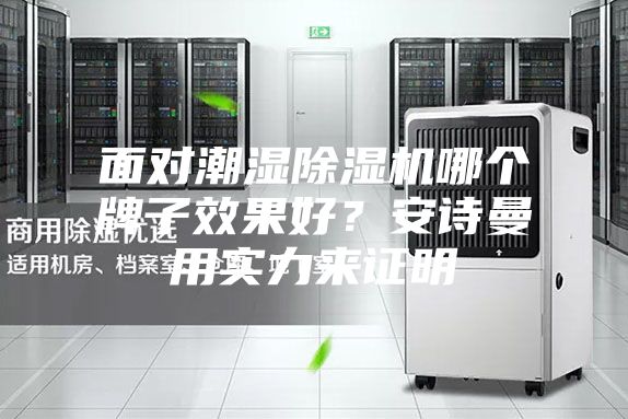 面對潮濕除濕機哪個牌子效果好？安詩曼用實力來證明