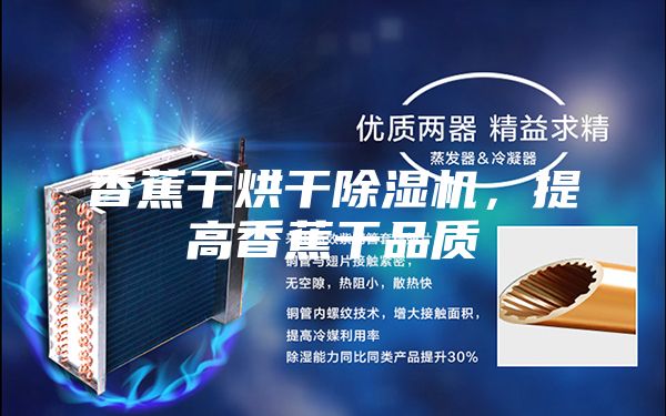 香蕉干烘干除濕機，提高香蕉干品質