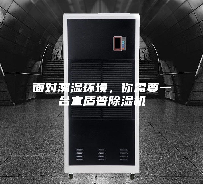 面對潮濕環境，你需要一臺宜盾普除濕機