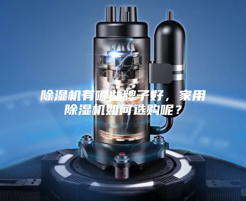 除濕機有哪些牌子好，家用除濕機如何選購呢？