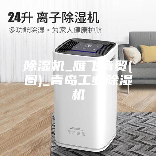 除濕機_雁飛商貿(圖)_青島工業除濕機